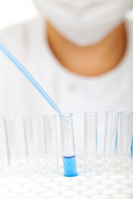 studenti laboratorio panificazione impasto lievito corso pratico